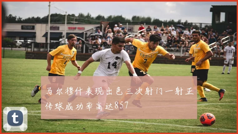 马尔穆什表现出色三次射门一射正传球成功率高达857